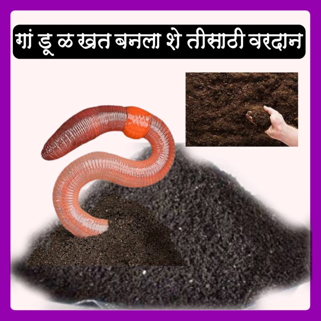 Importance of Vermicompost
