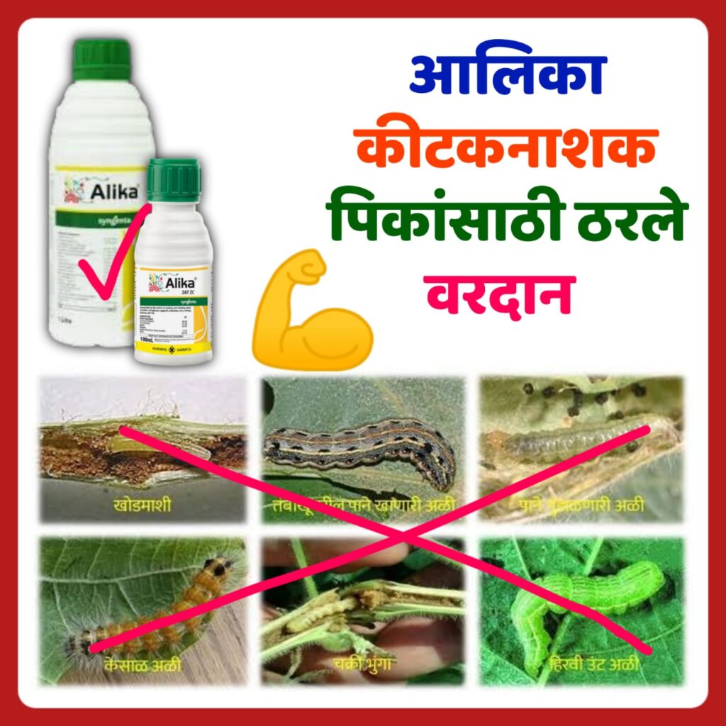 Using small scale insecticides